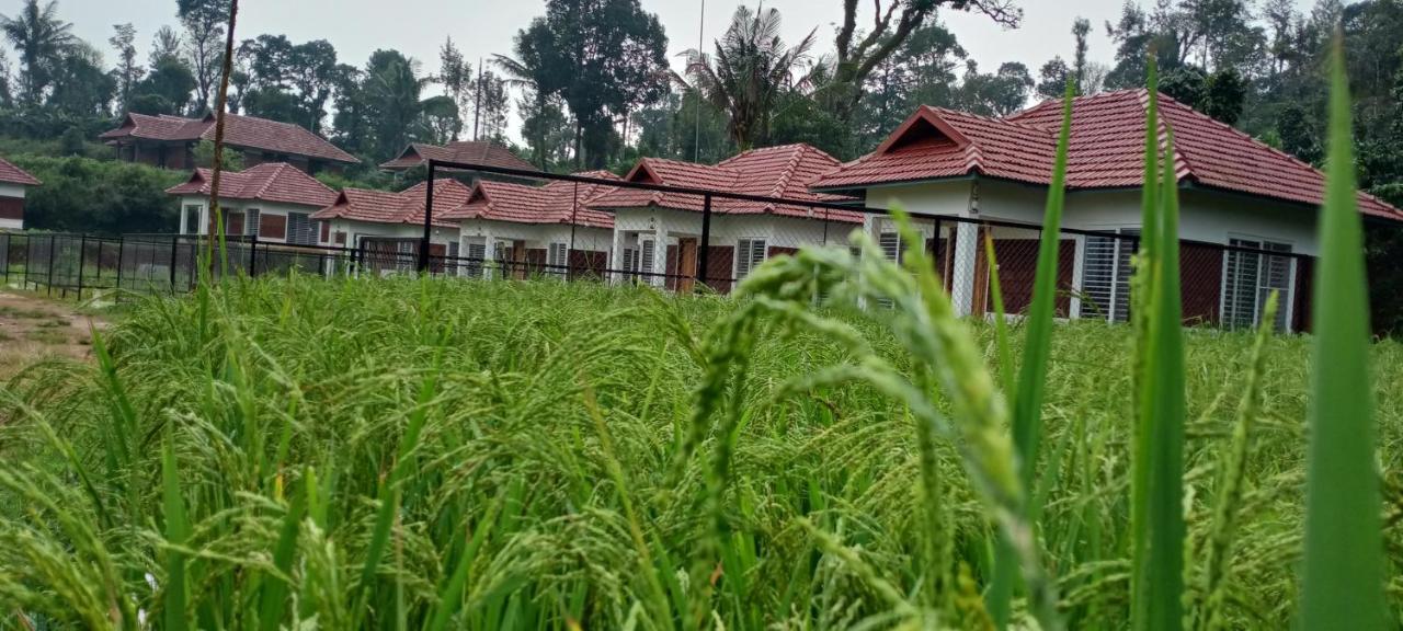 Camp Nishani Bhāgamandala Esterno foto